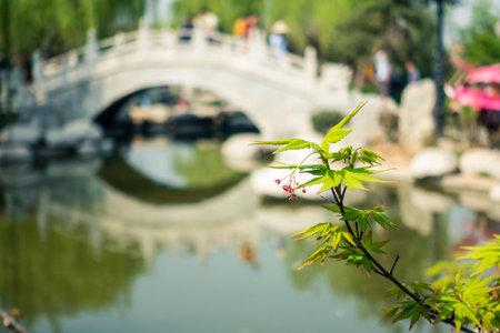 Clean River and Traditional Bridge in Regions South of the Yangtze River China