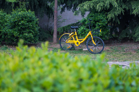 OFO Bikes standing on Campus in Xi'an, China April 2018の写真素材