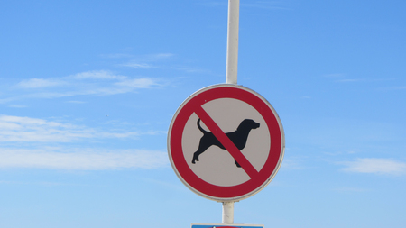 Dogs Not Allowed Forbidden Red Sign Beach Outdoorsの写真素材