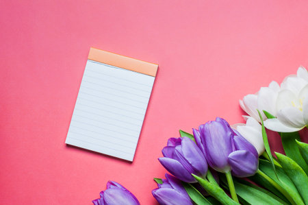Bouquet of beautiful white and purple tulips lie on  pink color background, next to an empty note...