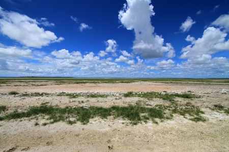 desertの写真素材