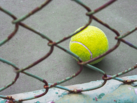 Tennis ball in fenceの写真素材