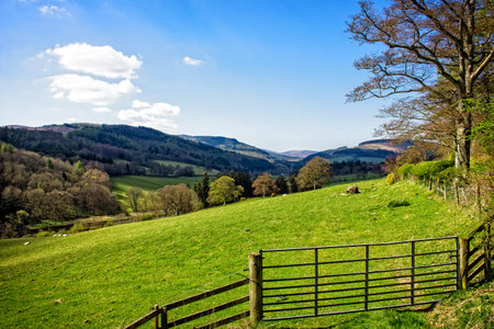 Rolling Pasture of the Yair Valley, Melrose, Scottish Borders