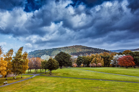 Autumn trees, Victoria Park, Peebles, Scottish Bordersの写真素材