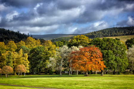 Autumn trees, Victoria Park, Peebles, Scottish Bordersの写真素材