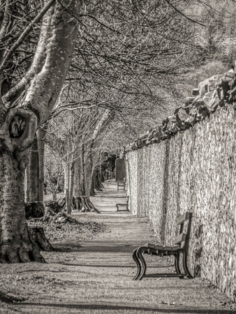 Haylodge Park, Neidpath, Peebles, Scotlandの写真素材