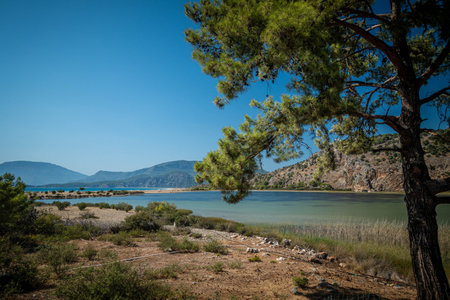 Iztuzu Beach, Turkeyの写真素材