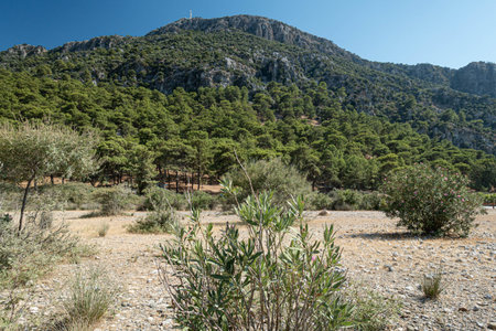 Iztuzu beach, Ortaca, Turkeyの写真素材