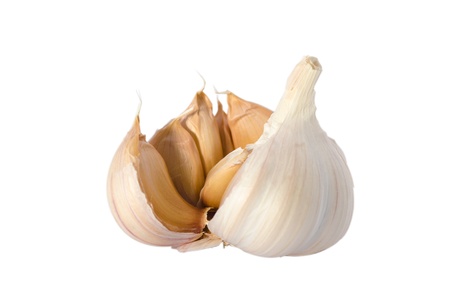 Garlic isolated on white background の写真素材