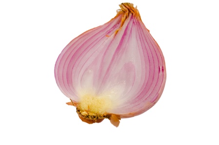 Onion isolated on white の写真素材