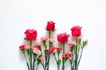 Colorful flowers on white background for anniversary or Valentine day concept.の写真素材
