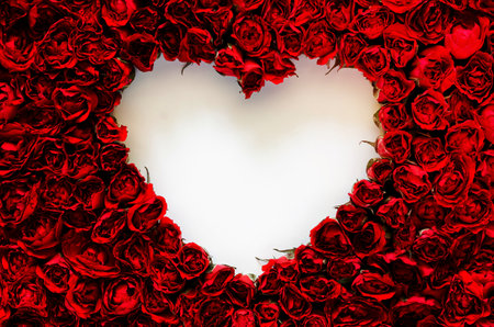 Red rose frame with white love shape blank space for anniversary, mother and Valentine day concept.の写真素材