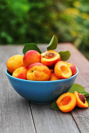 Fresh nectarines in a bowl with one cutの写真素材