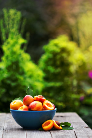 Fresh nectarines in a bowl with one cutの写真素材