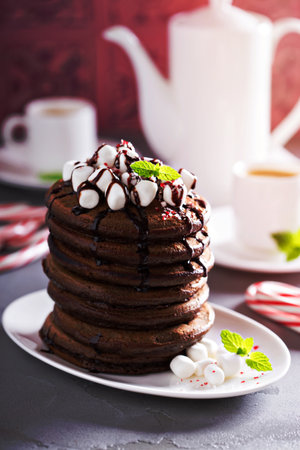 Chocolate mint christmas pancakes with coffee and candy canesの写真素材