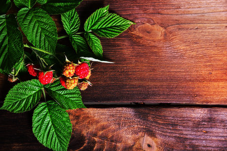 branch of raspberry with red berries and green leaves on a brown wooden background, an empty place on the rightの写真素材