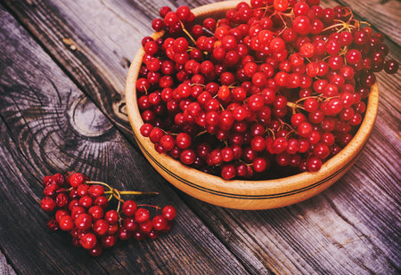 bunch of red viburnum in a wooden bowl on a gray table, top viewの写真素材