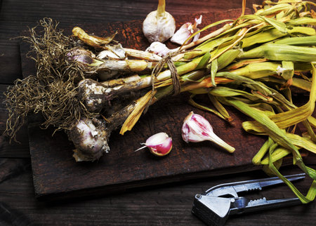 bunch of young garlic on a brown wooden board, close upの写真素材