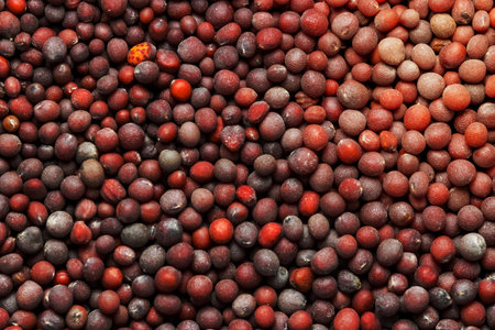 Close up shot of black mustard seeds top down viewの写真素材