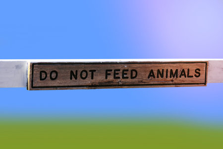 Do not feed animals board isolated on gradient background .の写真素材