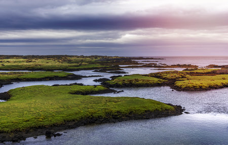 Lava rocks with green moss along Atlantic shoreline in iceland.の写真素材