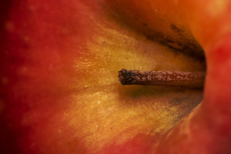Extreme close up shot of red apple fruitの写真素材
