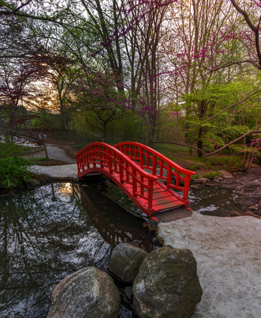 Red Japanese style bridge in Cranbrook gardens, Michigan shot during spring time.の写真素材