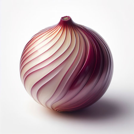 onion on white backgroundの素材