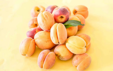 Ripe fresh apricotsの素材