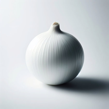 white onion on white backgroundの素材