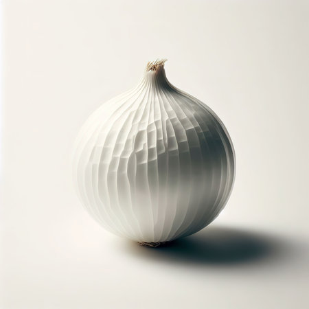 white onion on white backgroundの素材