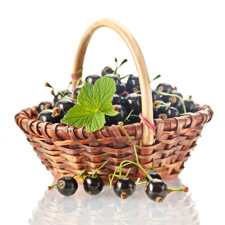 Basket with black currant on a white backgroundの素材