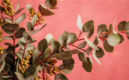 Minimalist arrangement of natural plantの素材