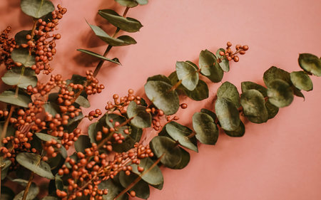 Minimalist arrangement of natural plantの素材