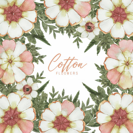 cotton flowers watercolor backgroundの素材