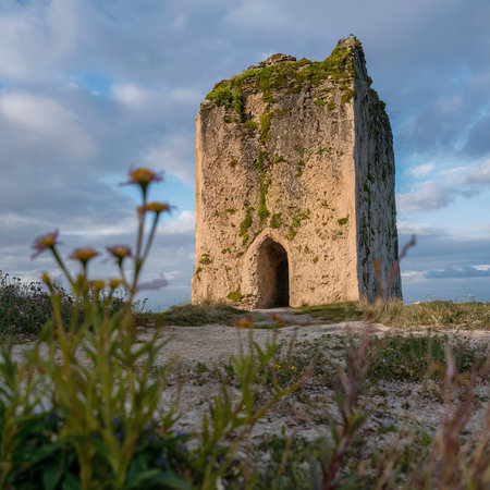 Photo of the towerの素材