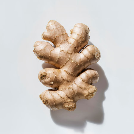 fresh ginger root isolated on white backgroundの素材