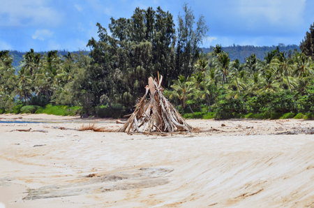 Castaway cabin in a beachの写真素材