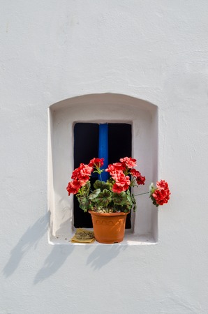 Pink flower in small blue windows with white wallの写真素材
