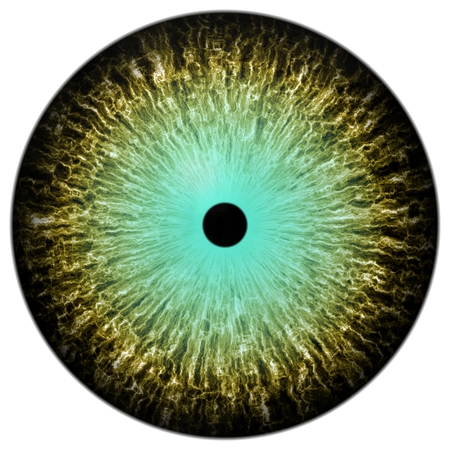 Realistic eye illustration texture white backgroundの写真素材