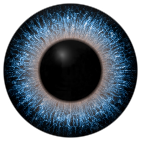 Eye iris generated realistic colorの写真素材