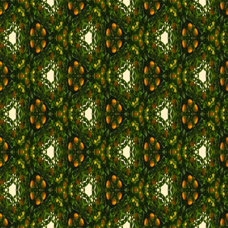 Floral kaleidoscope mosaic mandarin tree seamless texture or backgroundの写真素材