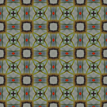 Kaleidoscope mosaic rose hip seamless texture or background