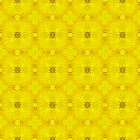 Floral Kaleidoscopic mosaic seamless texture or backgroundの写真素材