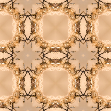 Floral Kaleidoscopic mosaic seamless texture or backgroundの写真素材