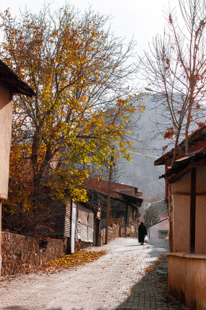 A woman walking away on the street.Life in Anatolia.Nature and street.