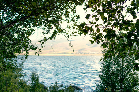 A view of the water from the shore of a lake and copy space for backgrounds.の写真素材