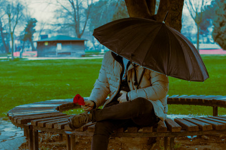 Man with umbrella sits under tree, holds red flower on park bench, rainy springの写真素材