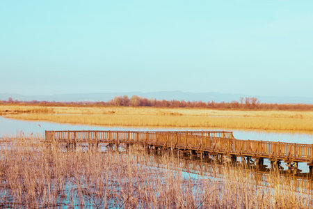 A Serene Autumn Scene. A Lake with a Wooden Dock and Trees in the Background.For copy text areas.の写真素材