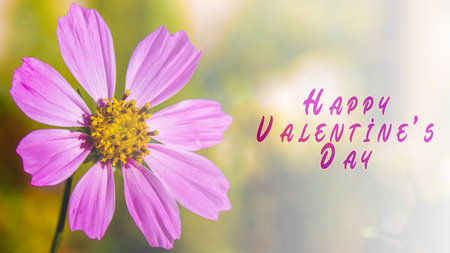Happy Valentine's Day or Happy Women's Day. Beautiful flowers.Happy Valentine's Day text in the image. high quality photoの写真素材